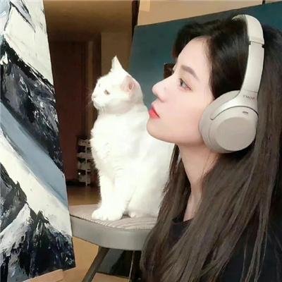 阳光下的冰器